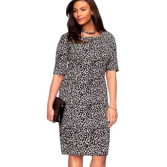 Talbots Dress Women 2 Black White Leopard Print‎ Short Sleeve Knee Length Sheath - Picture 1 of 11